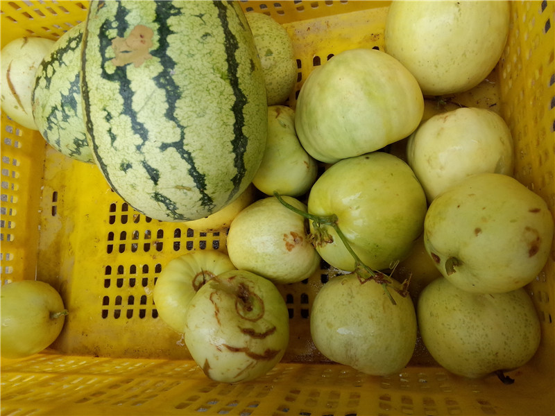 點擊瀏覽下一頁