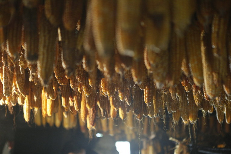 點(diǎn)擊瀏覽下一頁