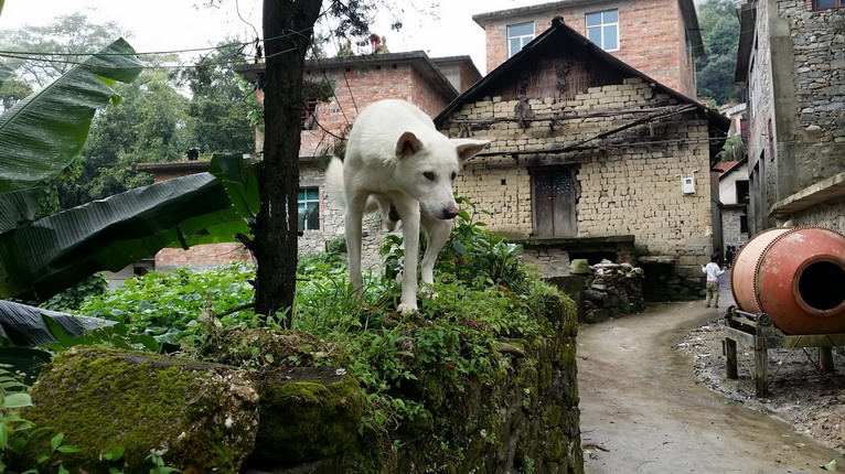 點(diǎn)擊瀏覽下一頁