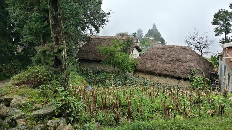 點(diǎn)擊瀏覽下一頁
