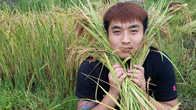 點(diǎn)擊瀏覽下一頁