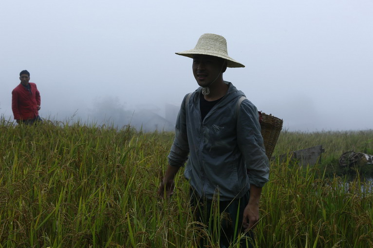 點(diǎn)擊瀏覽下一頁