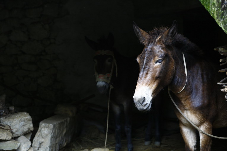 點(diǎn)擊瀏覽下一頁