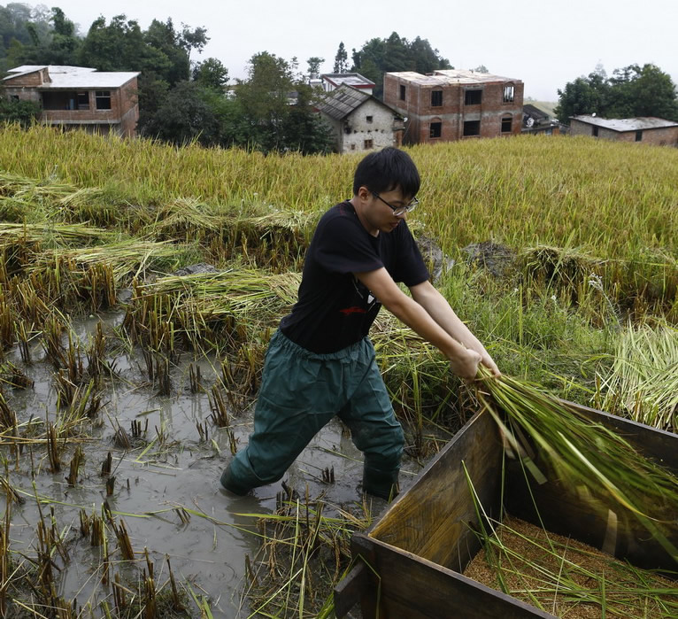 點(diǎn)擊瀏覽下一頁
