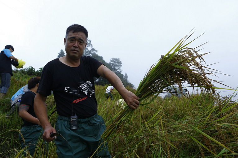 點(diǎn)擊瀏覽下一頁