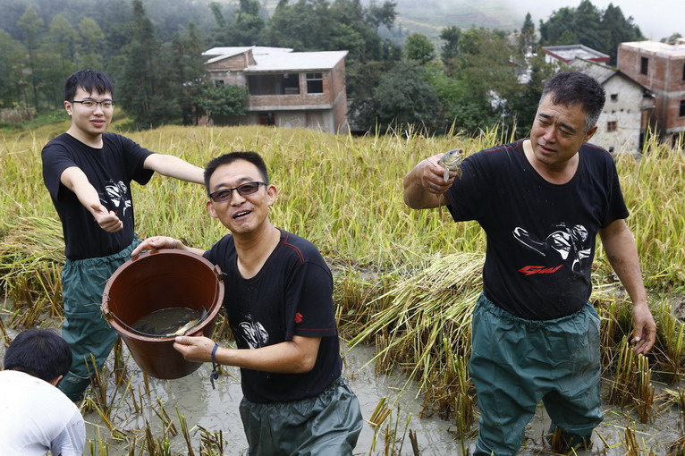點(diǎn)擊瀏覽下一頁