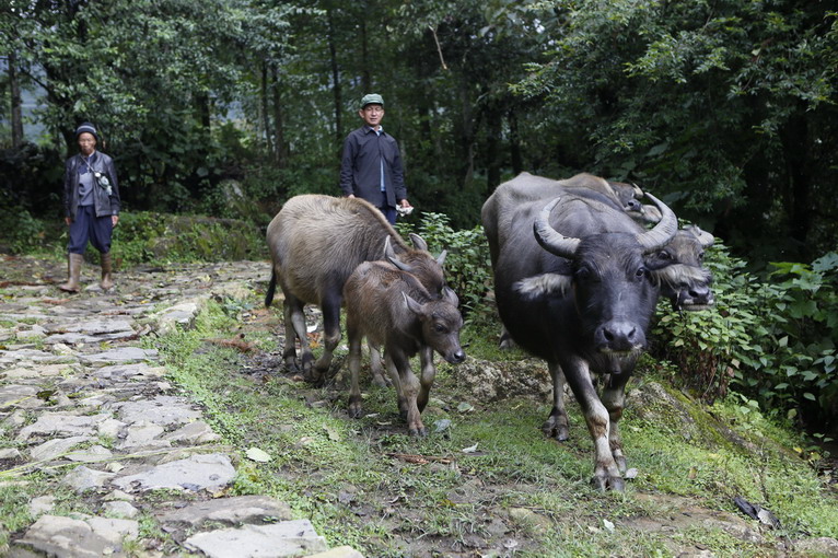 點(diǎn)擊瀏覽下一頁
