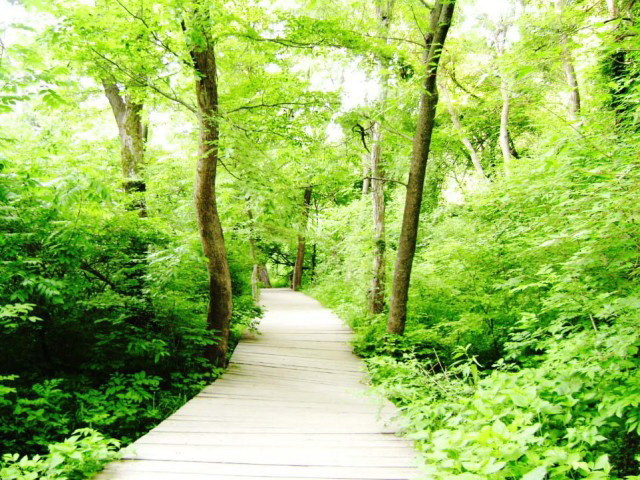 點(diǎn)擊瀏覽下一頁