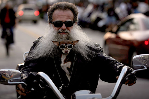 點(diǎn)擊瀏覽下一頁