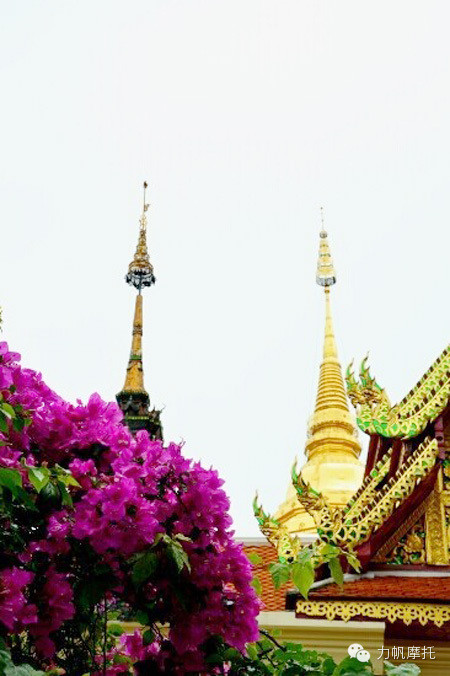 點(diǎn)擊瀏覽下一頁(yè)