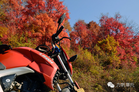 點(diǎn)擊瀏覽下一頁(yè)