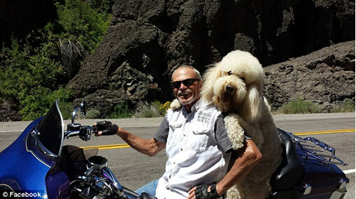 點擊瀏覽下一頁