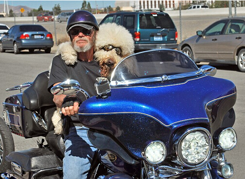 點擊瀏覽下一頁