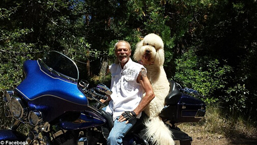 點擊瀏覽下一頁