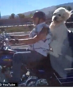 點擊瀏覽下一頁