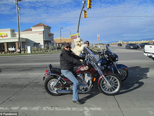 點擊瀏覽下一頁