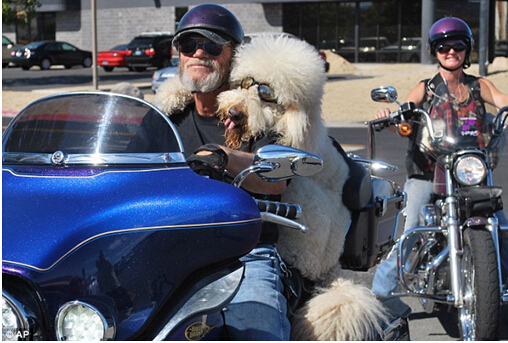 點擊瀏覽下一頁