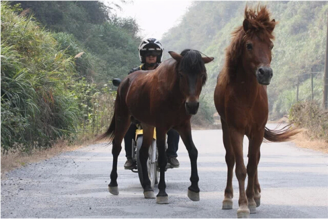 點擊瀏覽下一頁