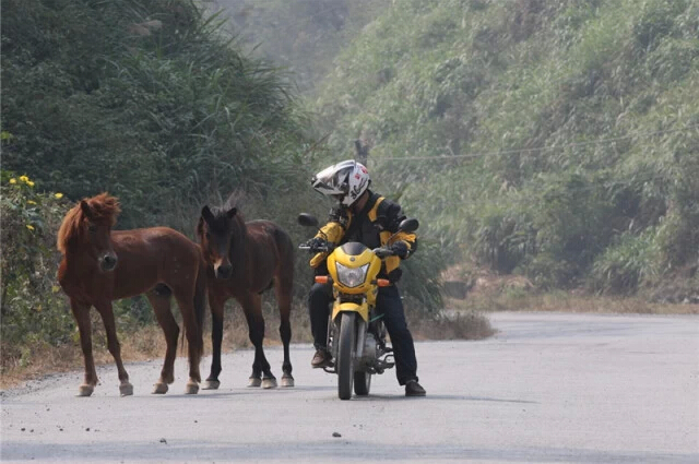 點擊瀏覽下一頁