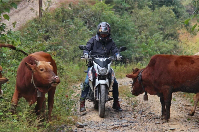 點擊瀏覽下一頁