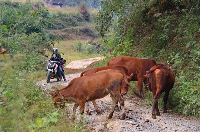 點擊瀏覽下一頁