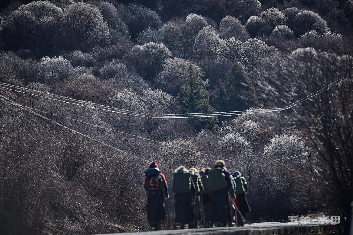 點擊瀏覽下一頁