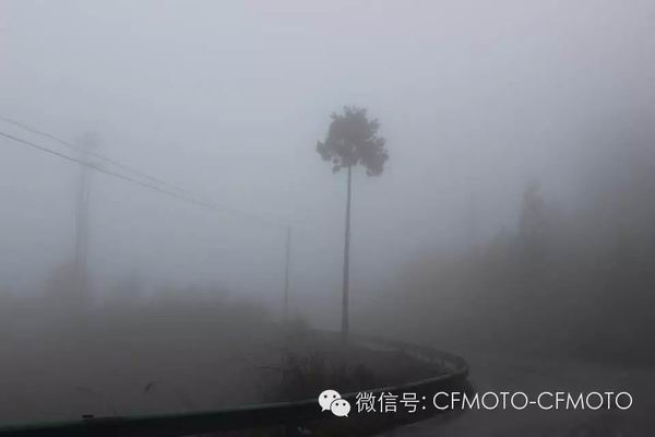 點(diǎn)擊瀏覽下一頁(yè)