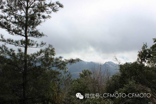 點(diǎn)擊瀏覽下一頁(yè)