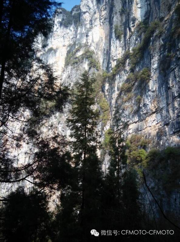 點(diǎn)擊瀏覽下一頁(yè)