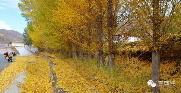 點擊瀏覽下一頁