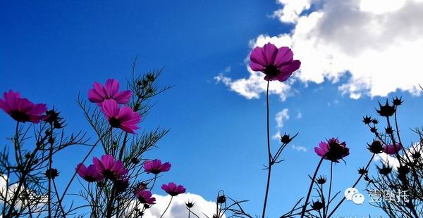 點擊瀏覽下一頁