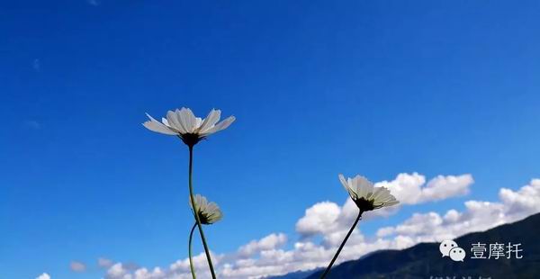 點擊瀏覽下一頁