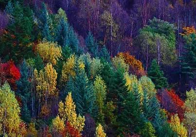 點擊瀏覽下一頁