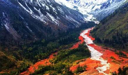 點擊瀏覽下一頁