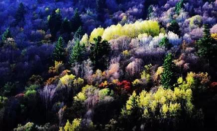 點擊瀏覽下一頁