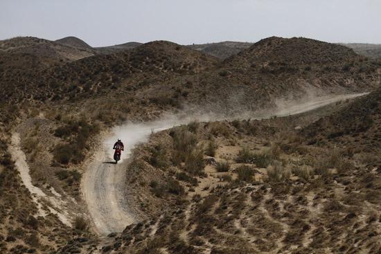 金城車隊蘇文敏