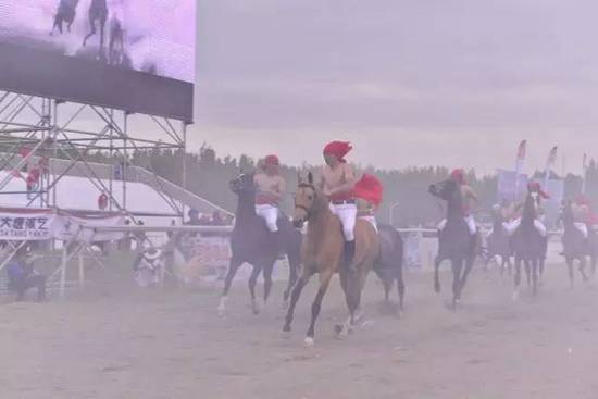 野馬集團有限公司董事長陳志峰贈送環(huán)塔組委會萬馬奔騰圖，并進行馬術(shù)表演