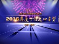 2016年度十佳進(jìn)口車(chē)型_2016中國(guó)摩托車(chē)行業(yè)年度十佳進(jìn)口車(chē)型