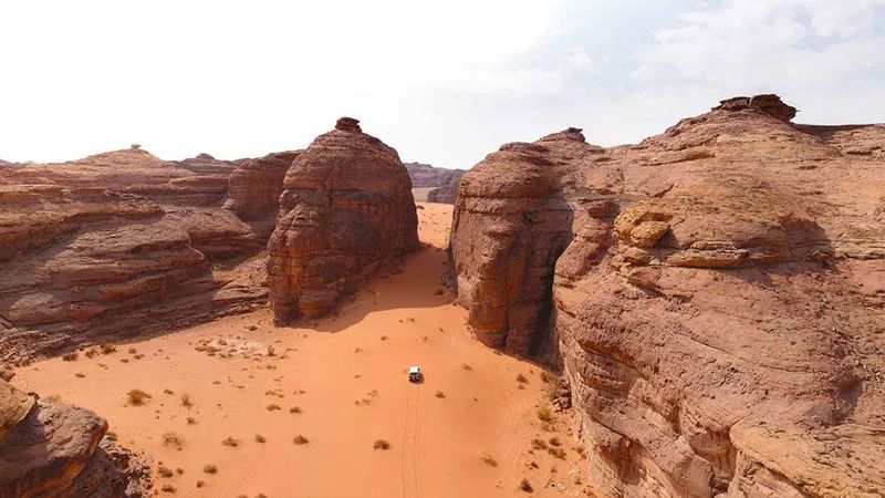 #2020年達(dá)喀爾拉力賽#的知識點