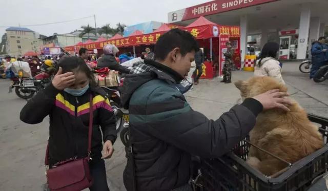春運(yùn)摩托車大軍中主人給狗狗留個(gè)位置，養(yǎng)十年了，帶它回家過(guò)年