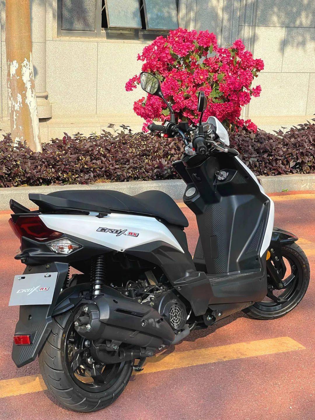 點擊進(jìn)入看圖評論